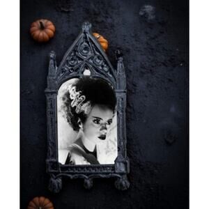 Bride of Frankenstein Magnet Elsa Lanchester 1935 Classic Monster Movie Decor